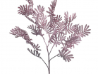 Ветка лист мимозы искусственная, пепельно-розовая, h 75 см (40+35) арт.7143/0016-35/1-3(Promo) - Благоустройство территории, "КРЫМ СКВЕР"