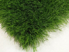Трава искусственная "Eco Green" 35 ширина 2м, арт. 8006 - Благоустройство территории, "КРЫМ СКВЕР"