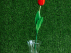 Тюльпан искусственный h60см красный 7141/0452-2/2Р - Благоустройство территории, "КРЫМ СКВЕР"