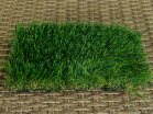 Трава искусственная "Eco Green" 50 ширина 2м, арт. 8004  - Благоустройство территории, "КРЫМ СКВЕР"