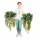 Композиция искусственная Шеффлера с ампельными растениями на основании 30*8*3см К310/6 - Благоустройство территории, "КРЫМ СКВЕР"