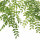 Даксин искусственный ампельный h107см, зеленый арт. 7143/0411-42  - Благоустройство территории, "КРЫМ СКВЕР"