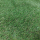 Трава искусственная "August Econom" 20мм, арт. 8007 - Благоустройство территории, "КРЫМ СКВЕР"